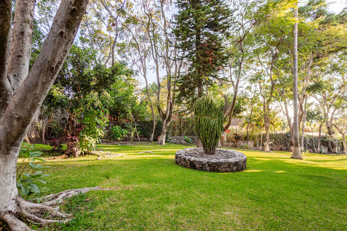 Jardín con árboles maduros y áreas exteriores