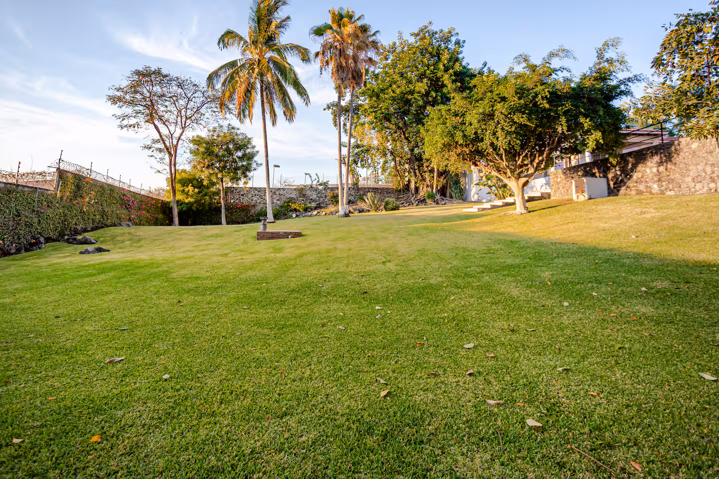 Jardín inferior con árboles maduros y áreas verdes